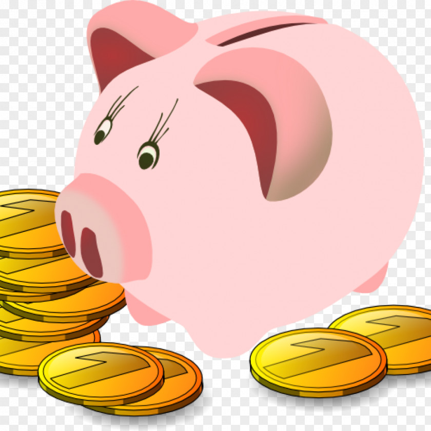 Bank Saving Money Piggy Budget PNG