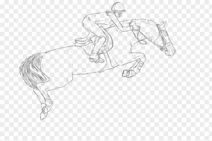 Based Line Drawing Pony Art Mane Mustang Sketch PNG