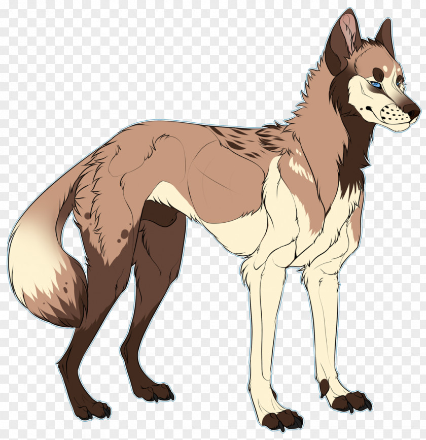 Dog Breed Jackal Cartoon PNG