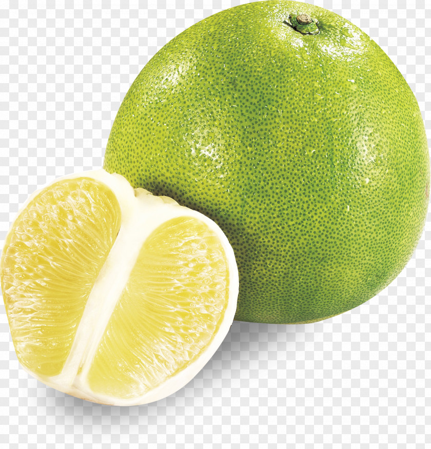 Attractive And Delicious Grapefruit Green Decorative Pattern Persian Lime Pomelo Lemon PNG