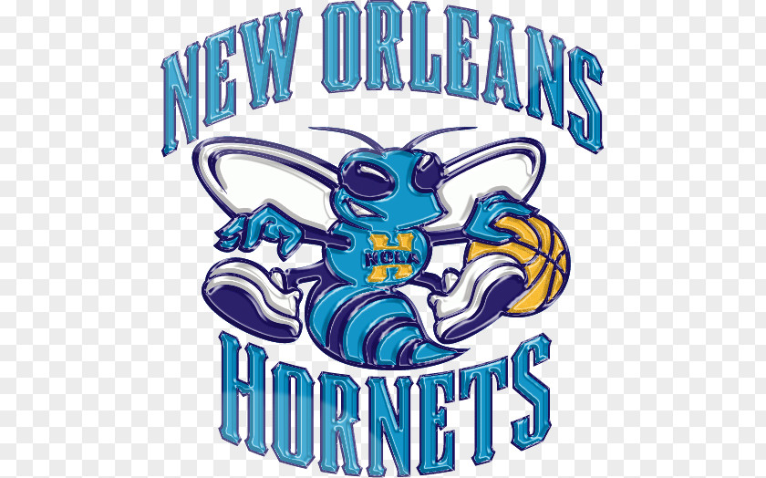 Charlotte Hornets New Orleans Pelicans NBA Chicago Bulls PNG