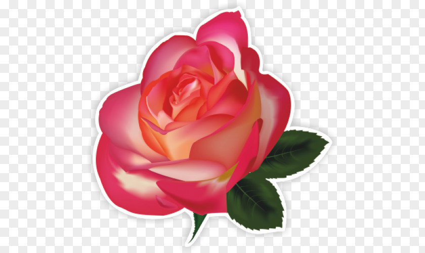 Rose Stock Photography Illustration Fotosearch Vector Graphics PNG