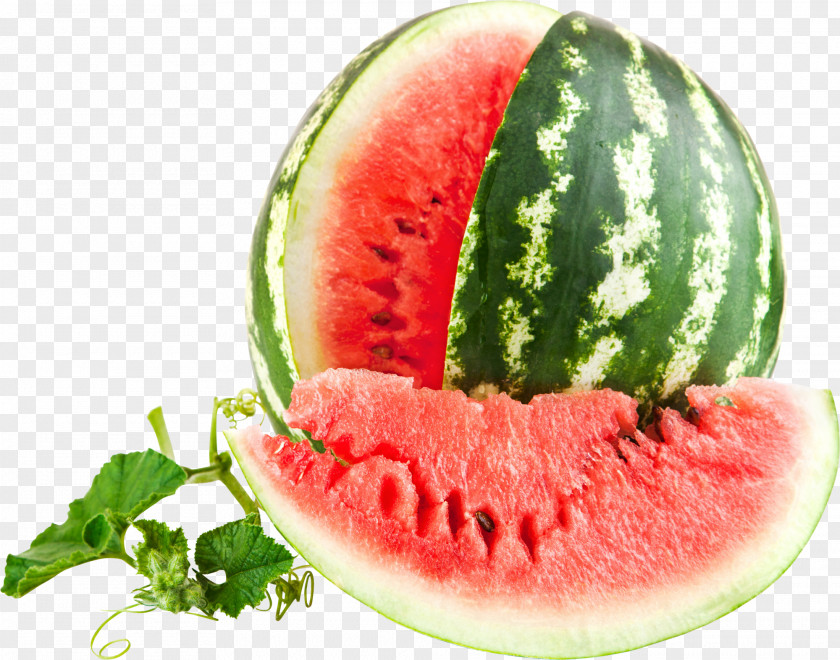 Watermelon IPhone Desktop Wallpaper High-definition Video PNG