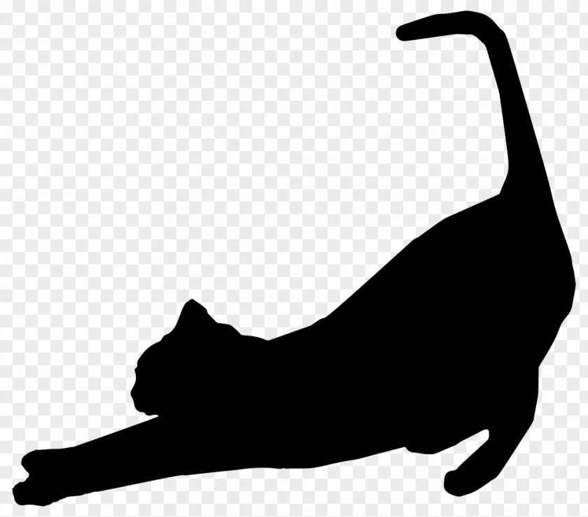 Blackandwhite Whiskers Cat Silhouette PNG