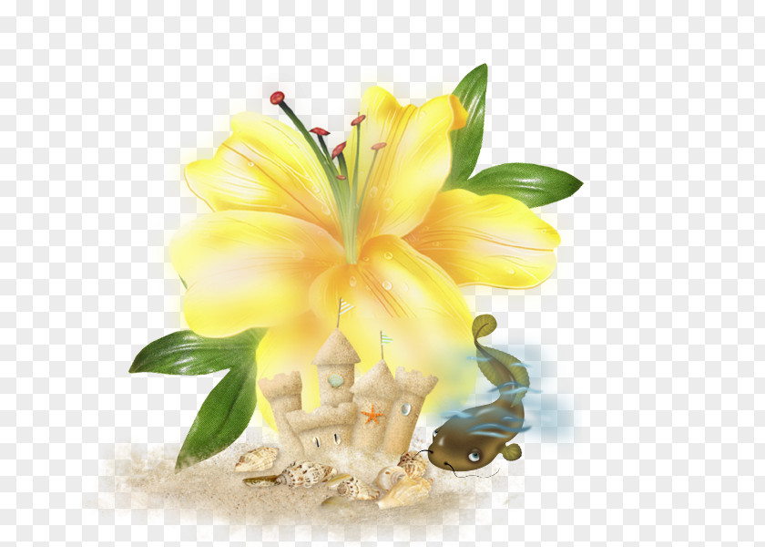 Blog Cut Flowers Flower Bouquet Floral Design Lilium PNG