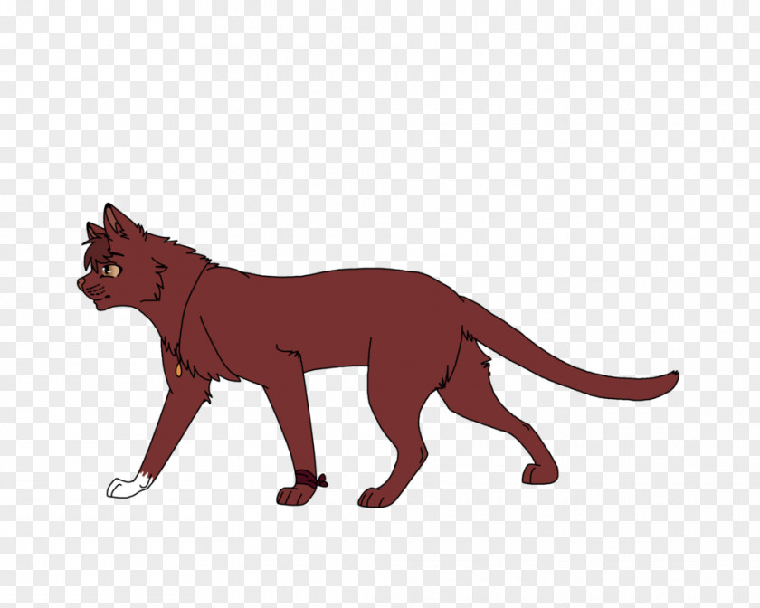 Cat Whiskers Lion Red Fox Mammal PNG