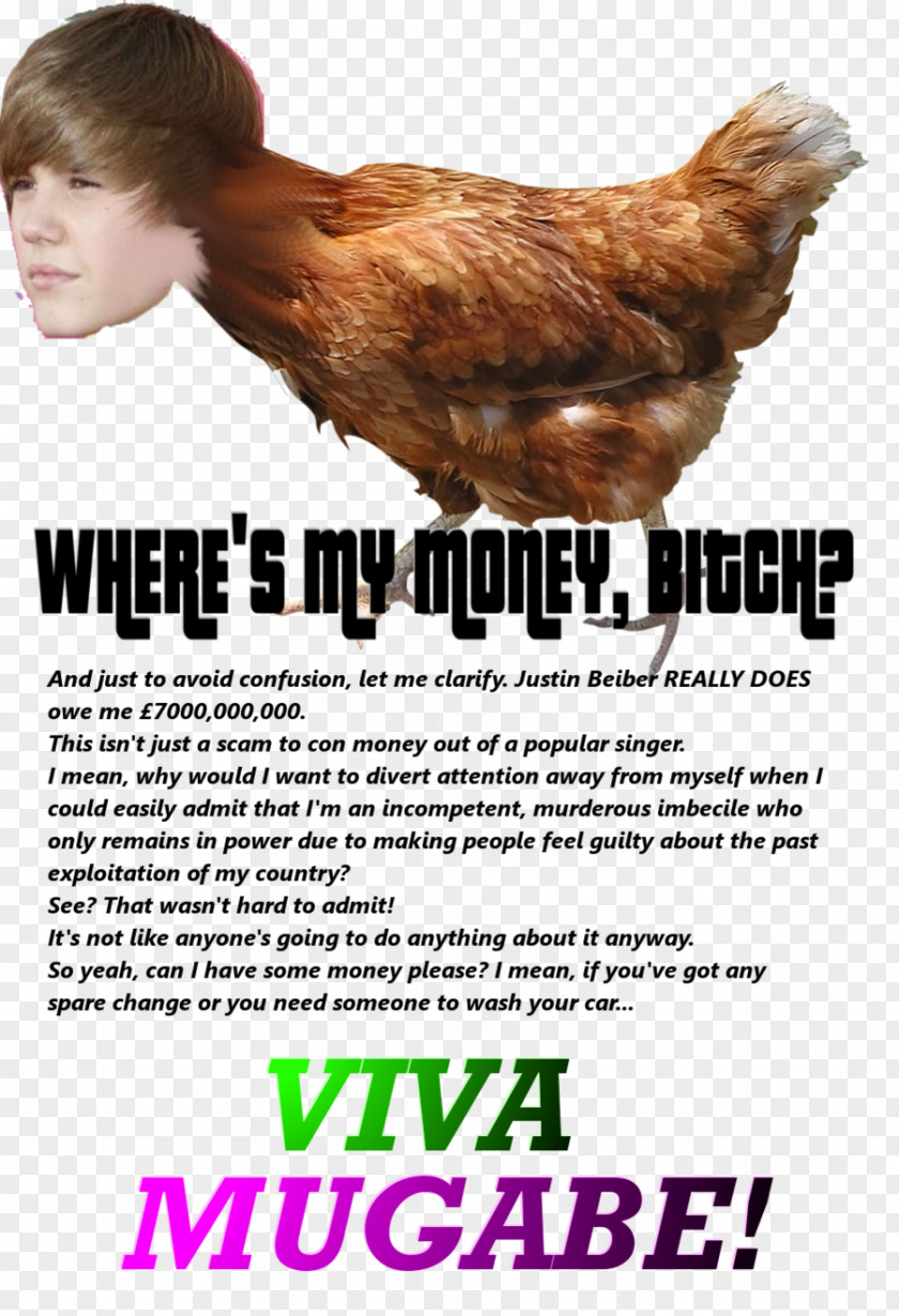 Donate Money Roast Chicken Avian Influenza Coop Buffalo Wing PNG