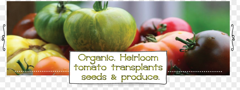 Cherry Tomato Heirloom Organic Food Plant PNG