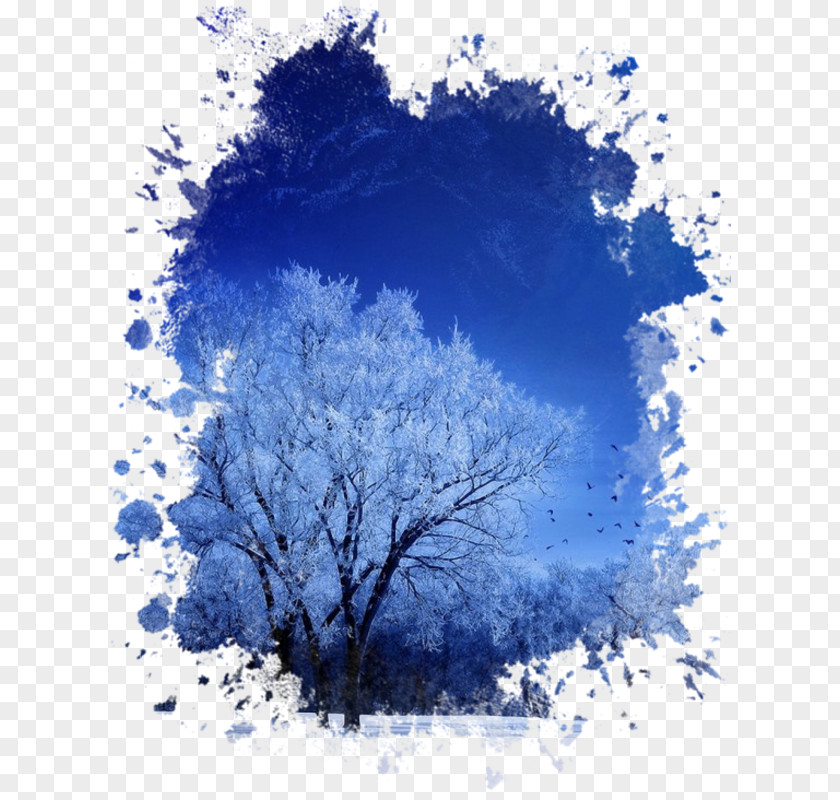 Frost Winter Cartoon Nature Background PNG