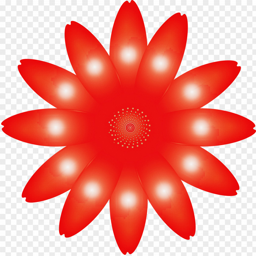 Marguerite Flower Spring PNG