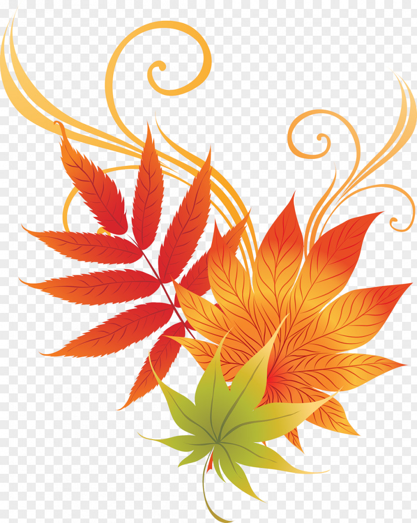 Mid-autumn Logo Ornament Leaf Floral Design Abscission Clip Art PNG