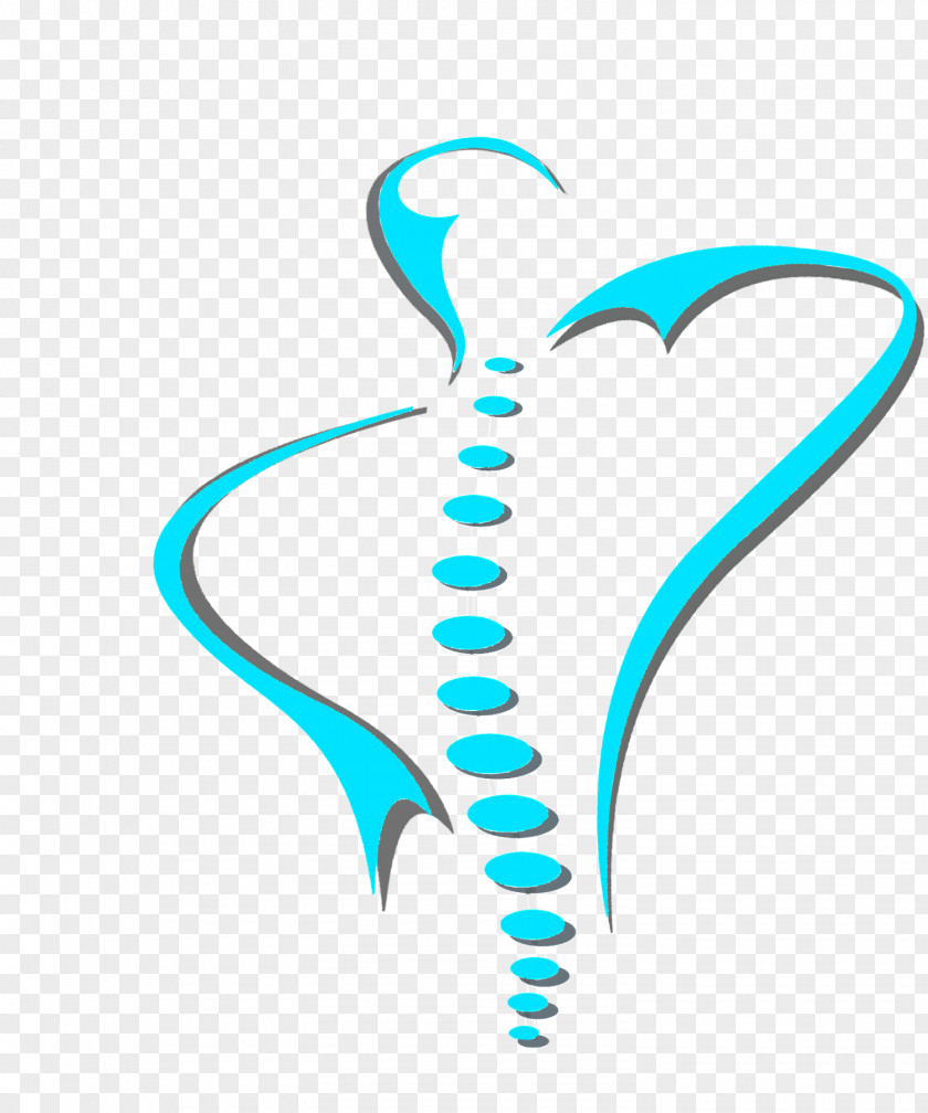 Physical Therapy Vertebral Column Chiropractor Chiropractic PNG