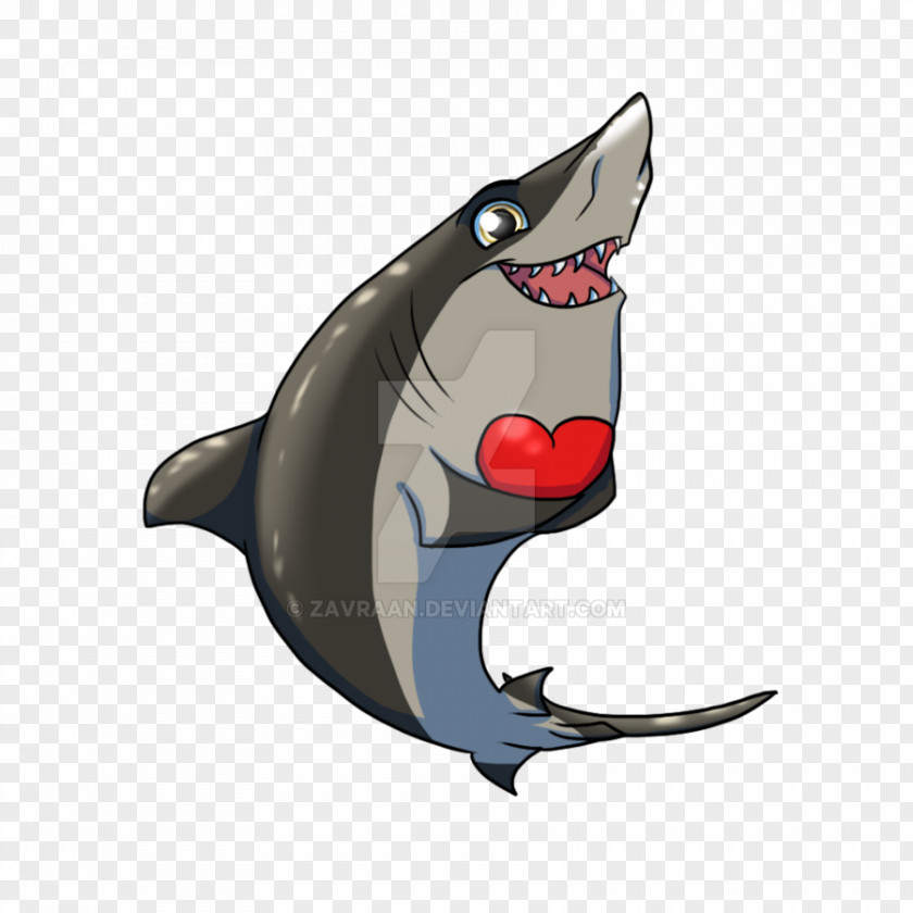 Shark Spinner Carcharhinus Amblyrhynchos Sand Tiger PNG