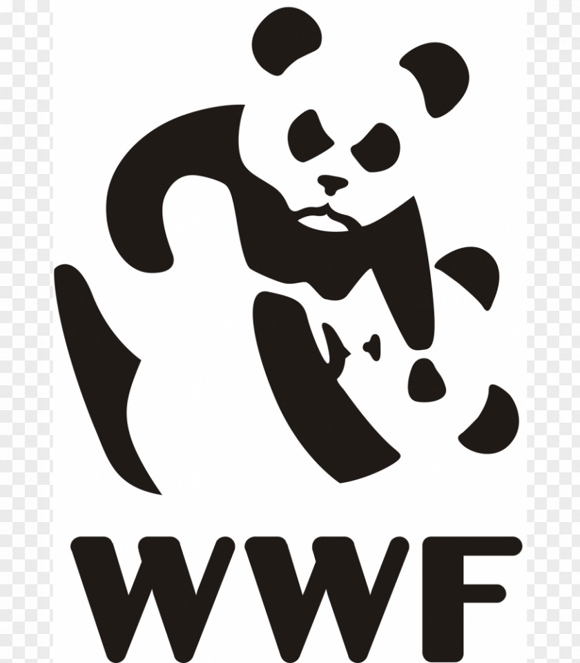 T-shirt Giant Panda WWF-UK World Wide Fund For Nature Bear PNG