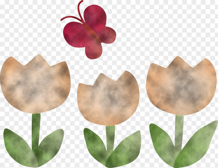 Tulip Butterfly PNG