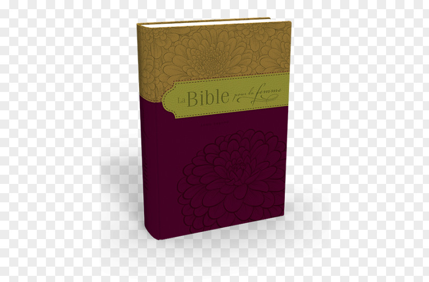 Woman Catholic Bible Adventism Catholicism Seventh-day Adventist Church PNG