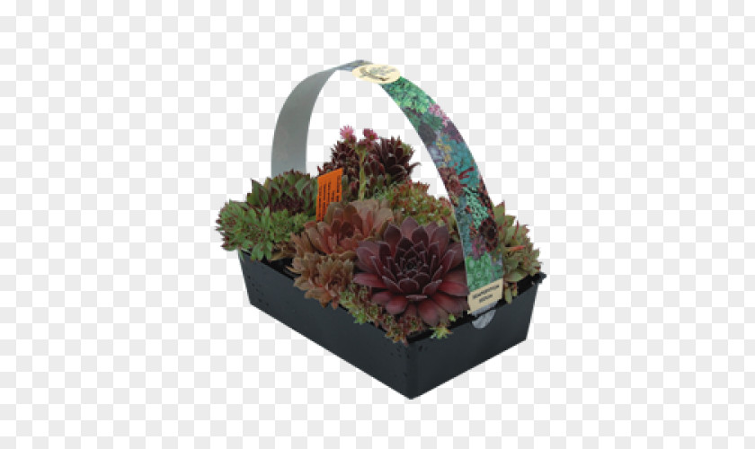 Design Floral Food Gift Baskets PNG