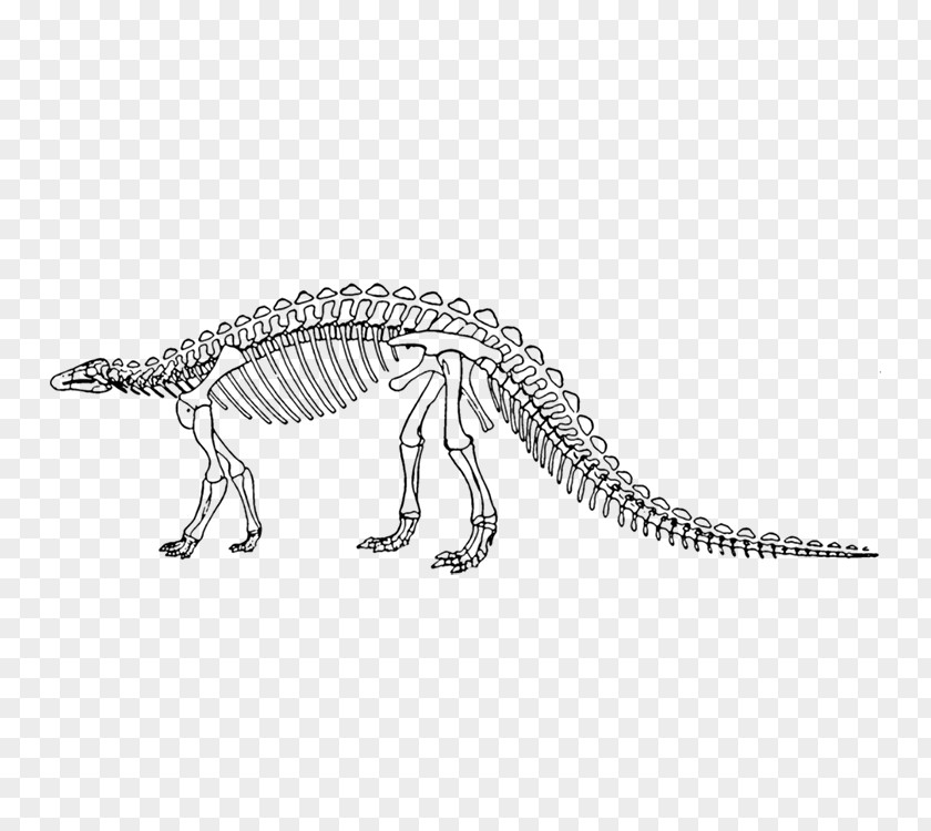 Dinosaur Skeleton King Scelidosaurus PNG