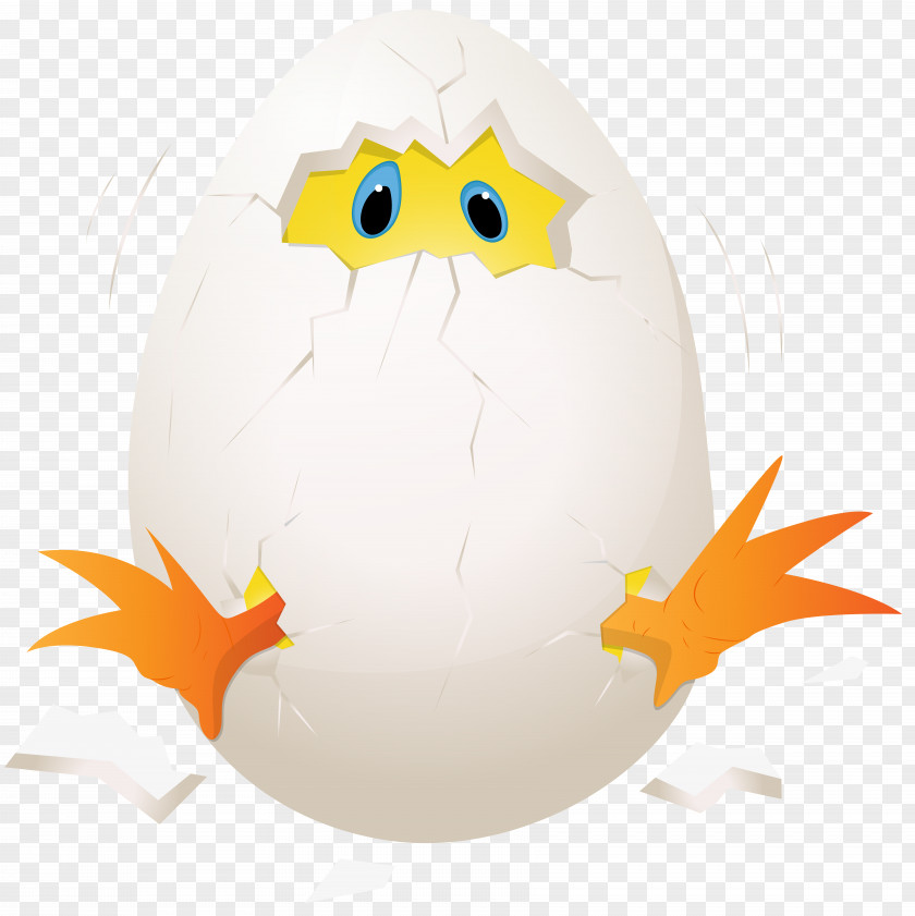Easter Chicken In Egg Clip Art Image Eggs Benedict PNG