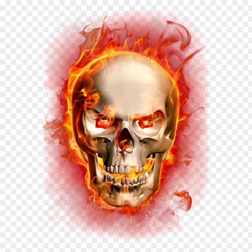 Flame Clip Art Fire Skull Illustration PNG