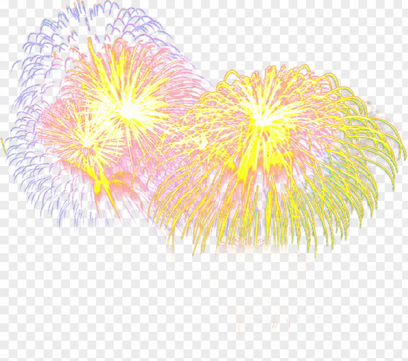 Hand Colored Fireworks Celebration Posters Poster Illustration PNG