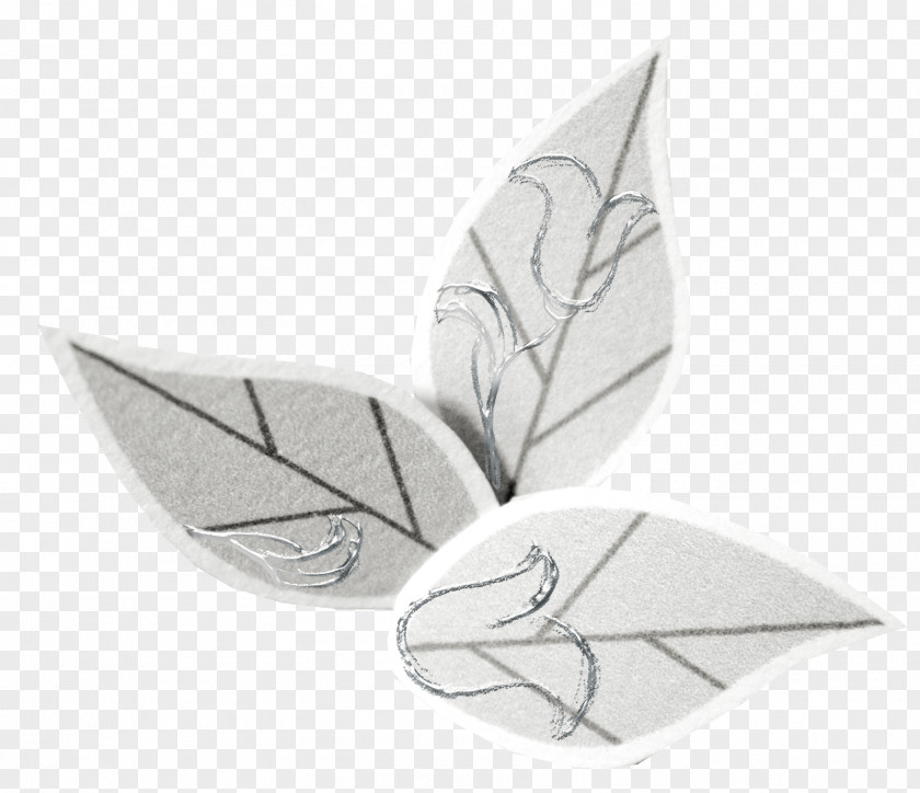 Leaf Product Design PNG