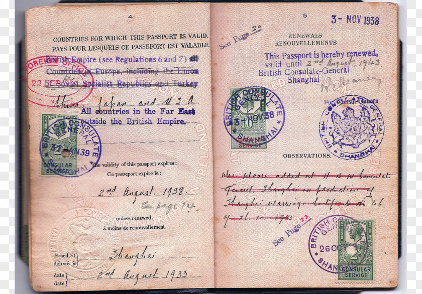 Passport British Identity Document Travel Visa PNG