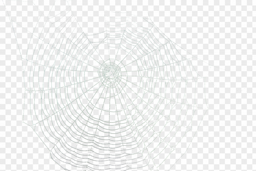 Spider Web Material Symmetry Book Koschei Pattern PNG