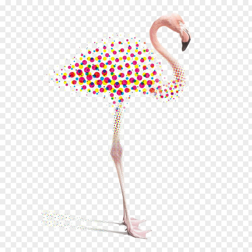 Creative Flamingos Graphic Design Flamingo Illustration PNG