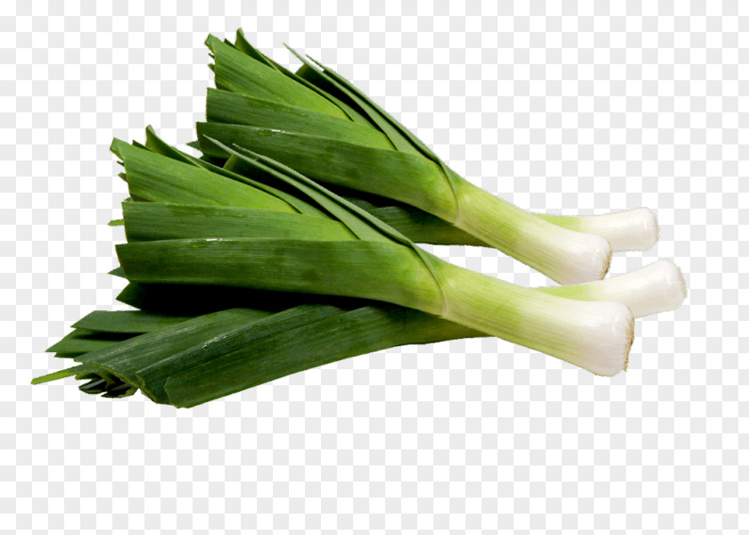 Garlic Leek Vegetable Onion Fruit PNG