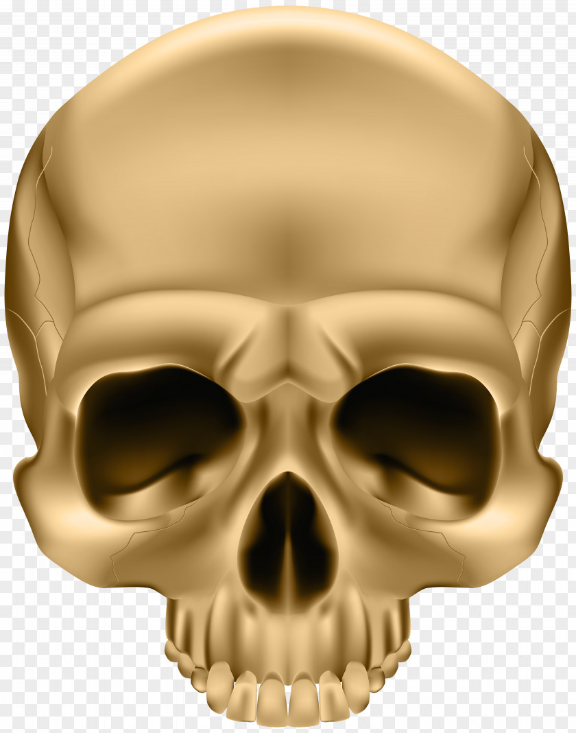 Golden Skull Clip Art Image And Crossbones Sticker Illustration PNG