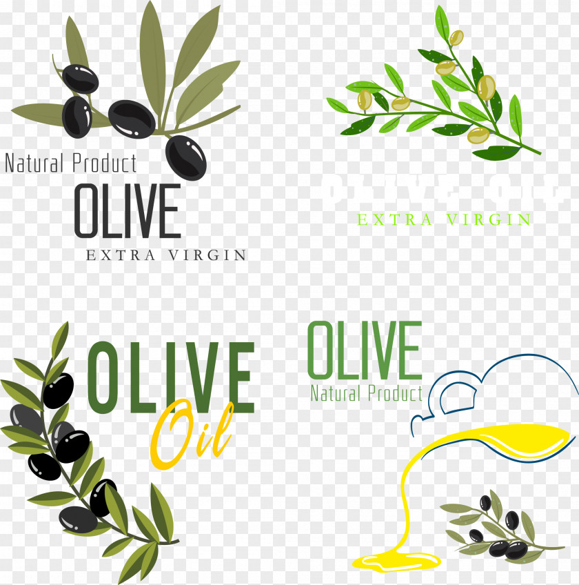 Green Olive Oil PNG