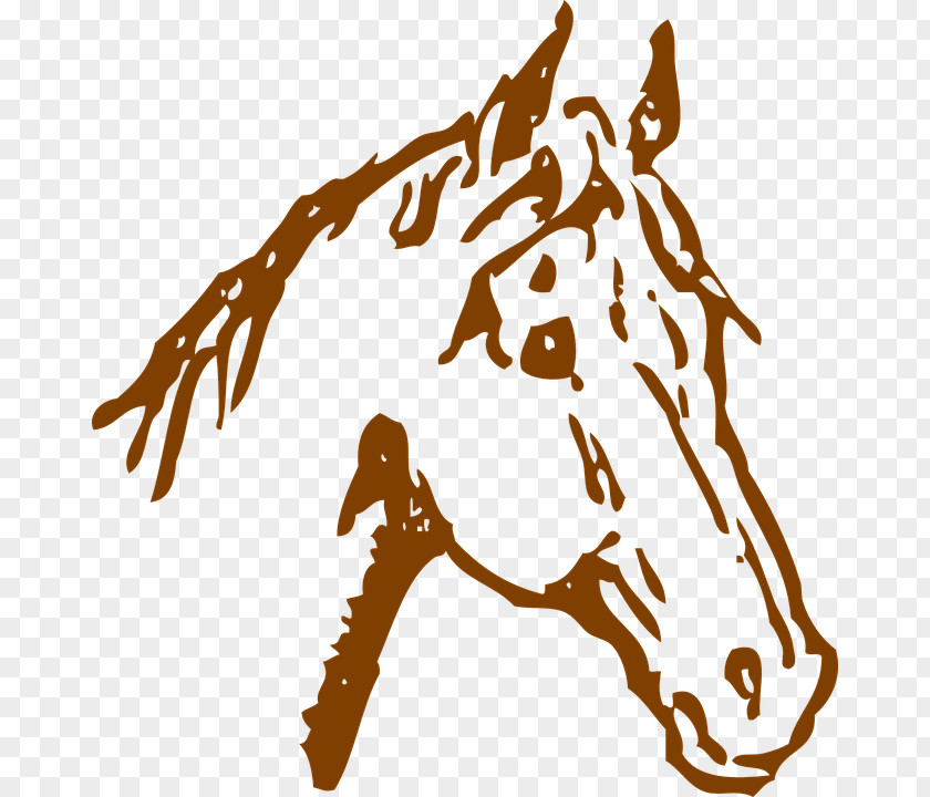 Horse Clip Art Image PNG