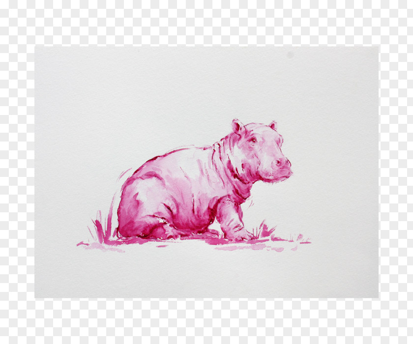 Pig Canidae Dog Pink M Drawing PNG