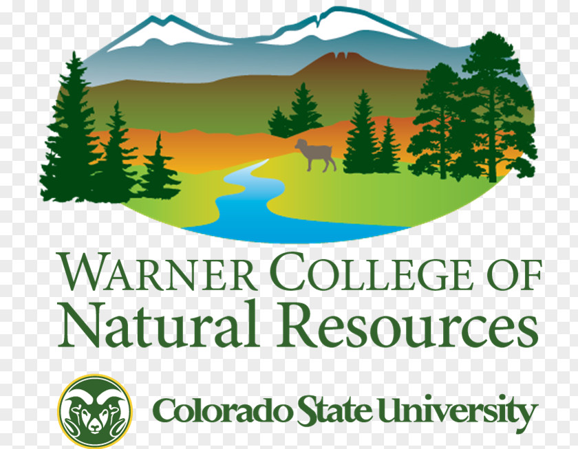 School Warner College Of Natural Resources North Carolina State University PNG