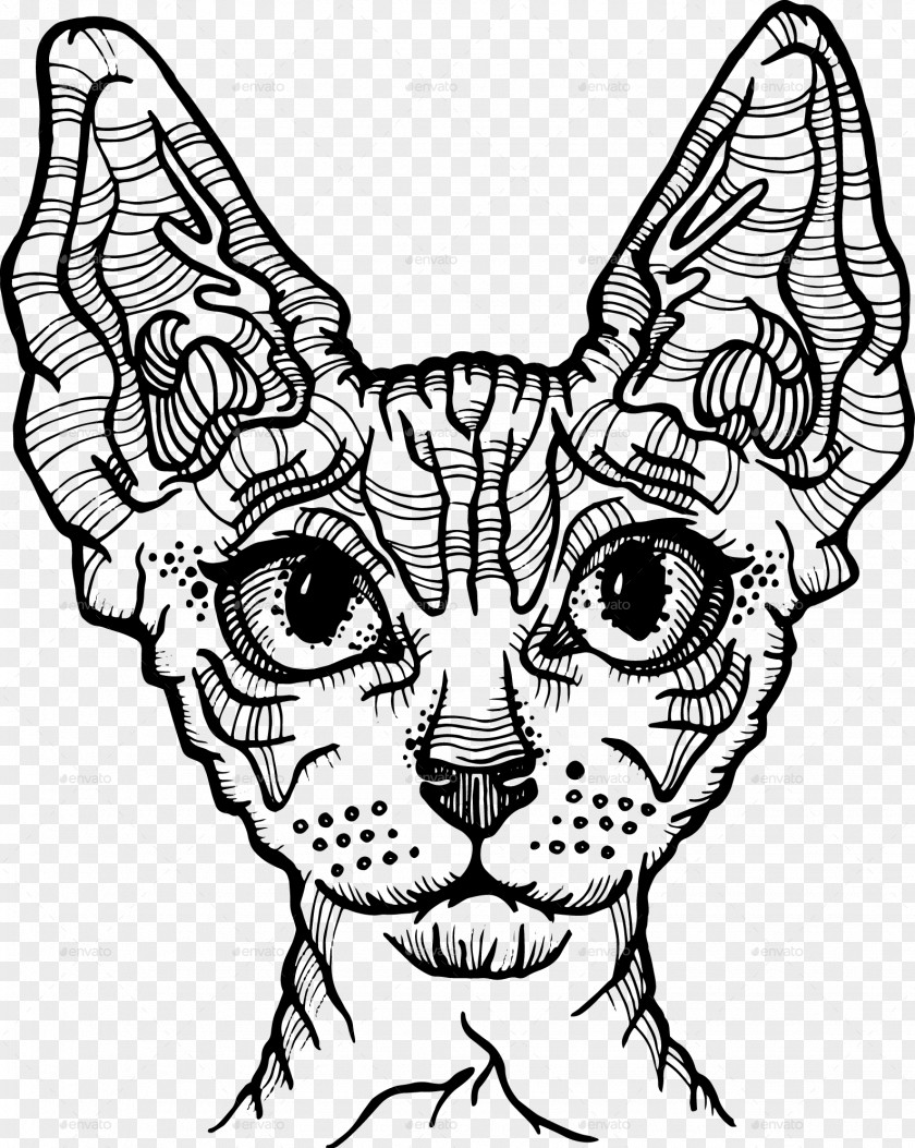 Bat Mockup Sphynx Cat Donskoy Abyssinian Bengal Drawing PNG