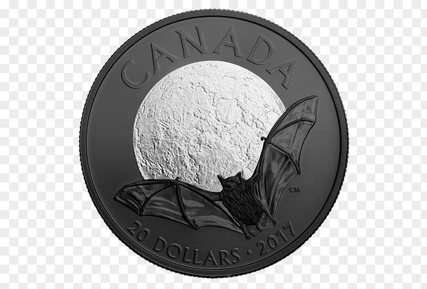 Coin Silver Canada Bat Types: Their Origin And Development PNG