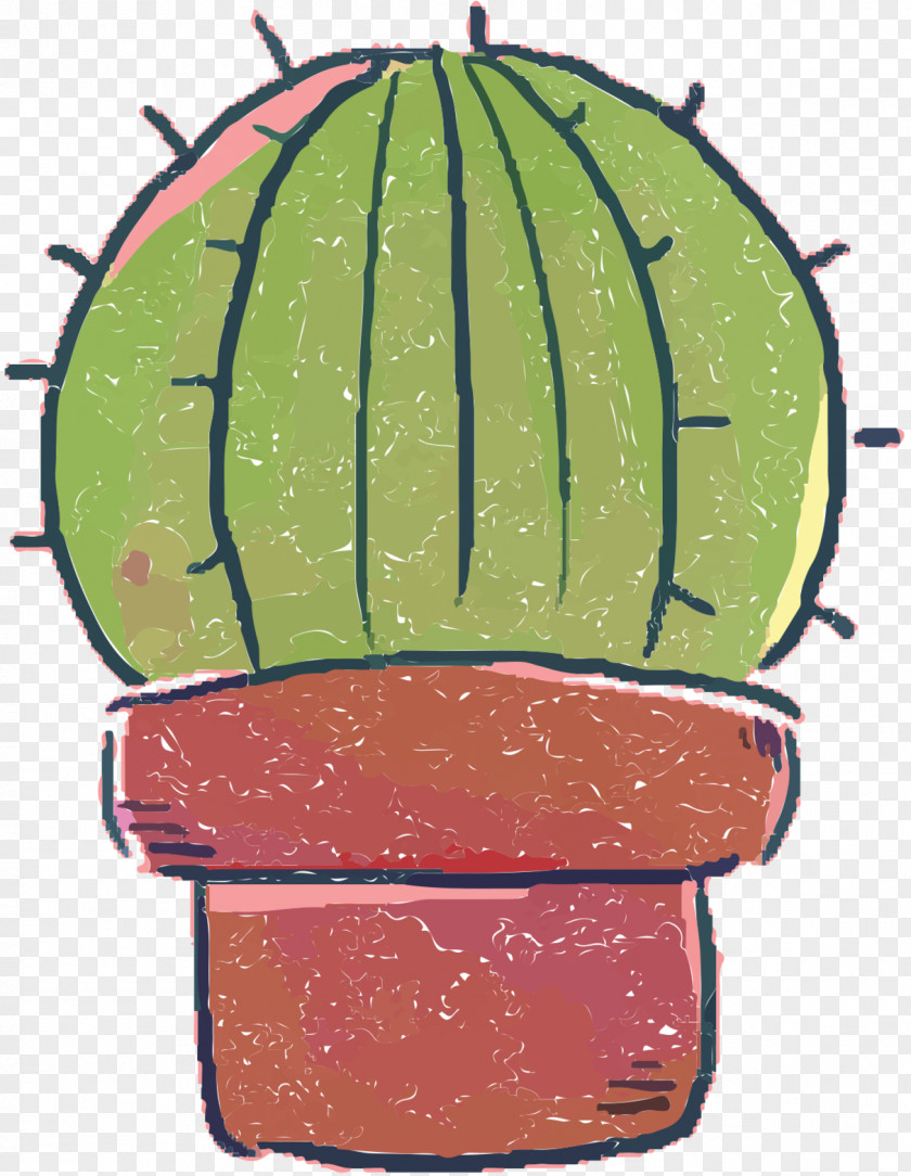 Drawing Illustration Doodle Cactus Cartoon PNG