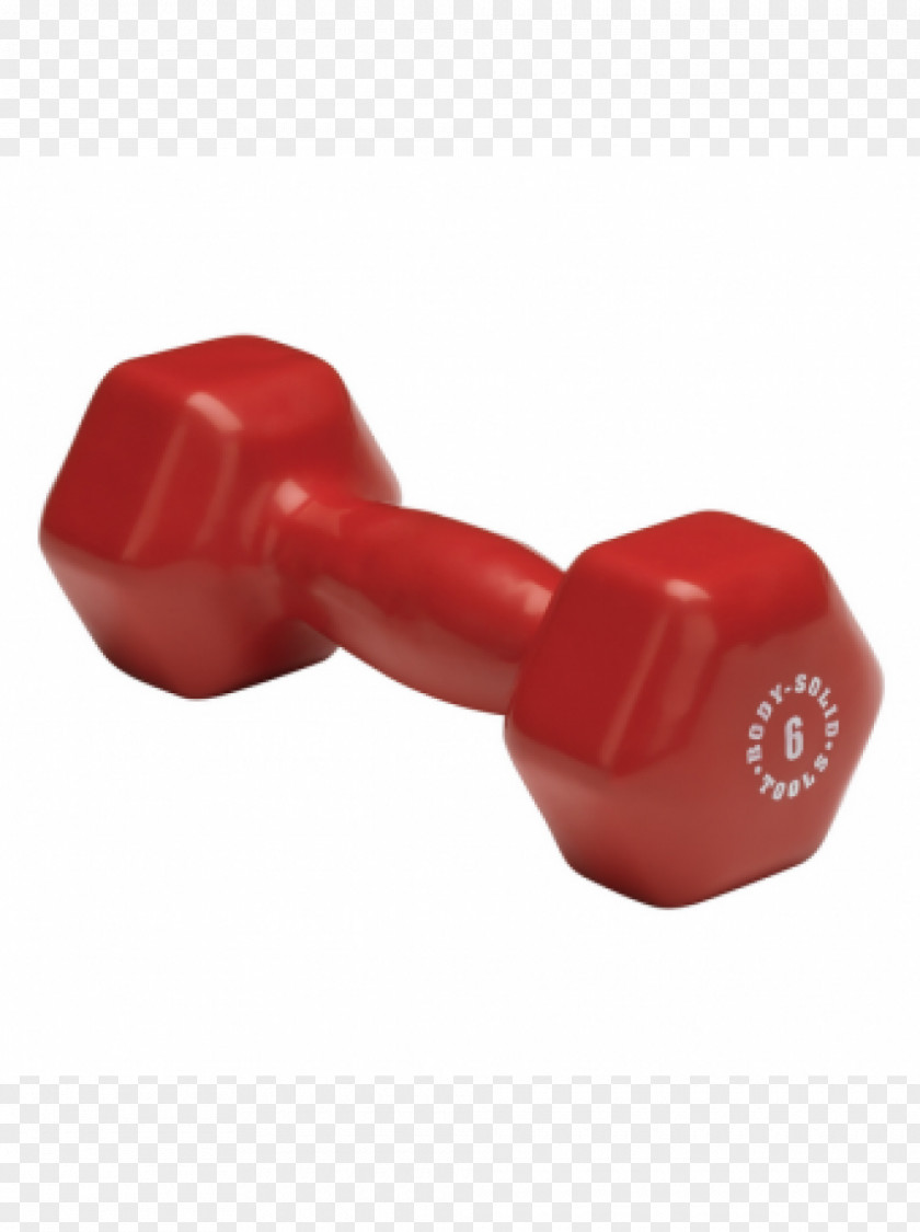 Dumbbell Barbell Physical Fitness Exercise Equipment PNG