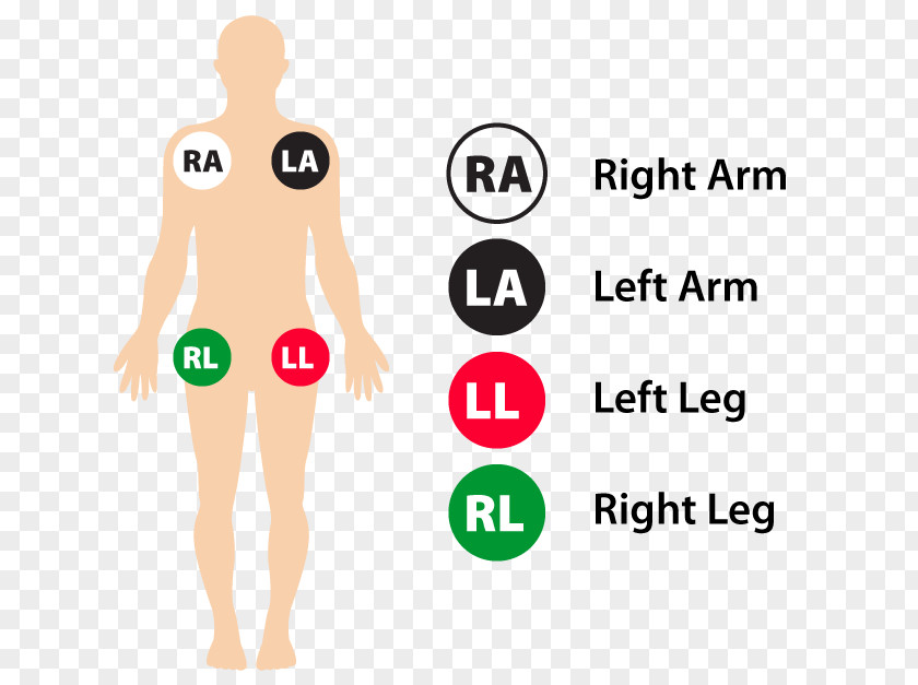 Ecg Images Electrocardiogram Electrode Monitoring Heart Ailment PNG