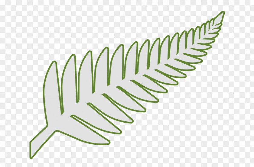 Fern New Zealand Leaf Silver Plant PNG