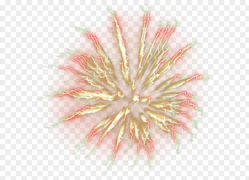 Fireworks HD Material Petal PNG