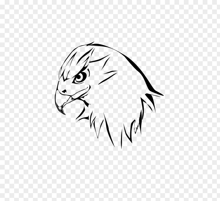 Hawk Black And White Whiskers Drawing Clip Art PNG