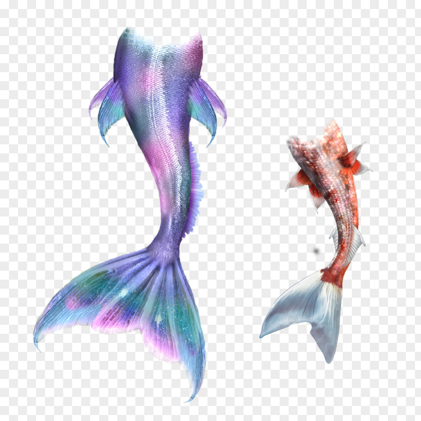 Mermaid Tail Drawing Merman Fairy Tale PNG