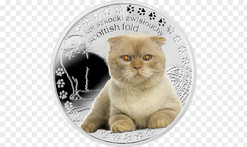 Scotish Fold Scottish Whiskers British Shorthair Domestic Short-haired Cat Silver Coin PNG
