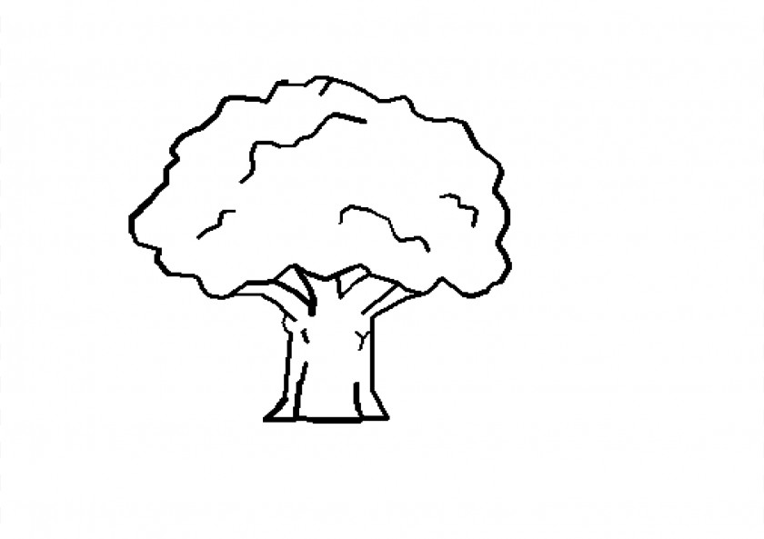 Tree Line Art Black And White Drawing Oak Clip PNG