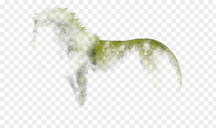Dog Breed Snout Tail PNG
