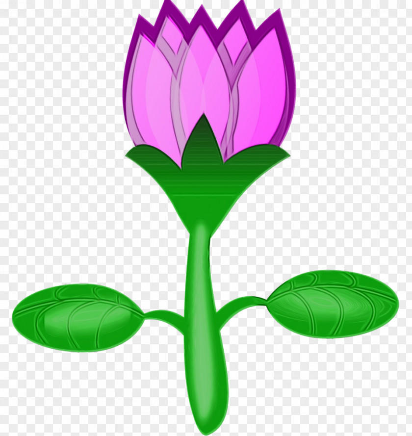 Plant Stem Tulip Watercolor Flower Background PNG
