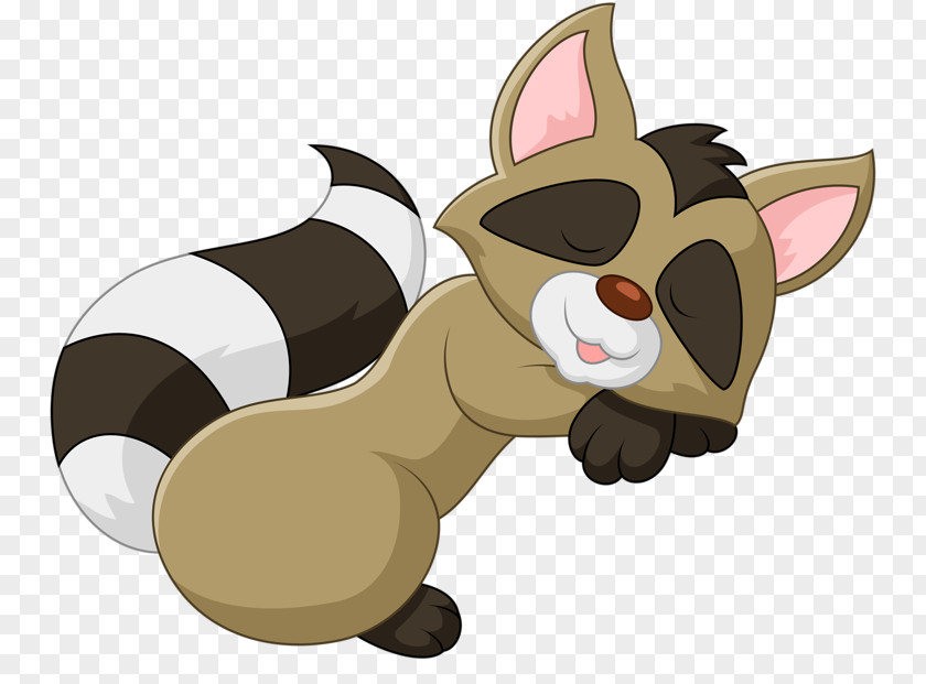 Cute Little Raccoon Bear Cartoon Clip Art PNG