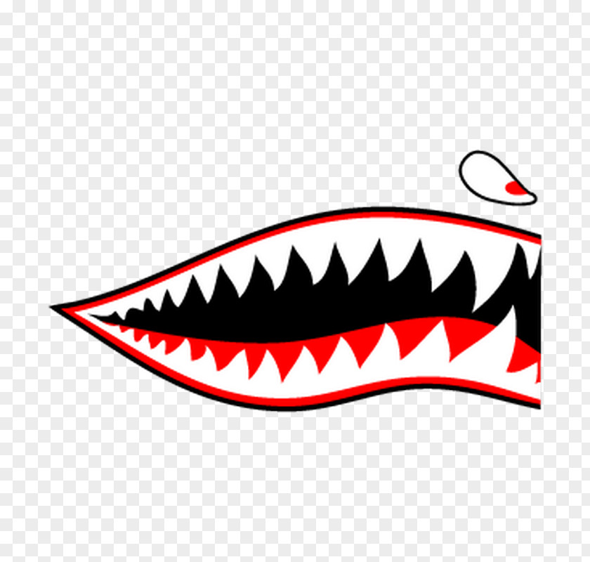 Label Stickers Curtiss P-40 Warhawk Decal Sticker Shark Adhesive PNG